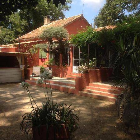 La Meissonniere Saint-Tropez Luaran gambar